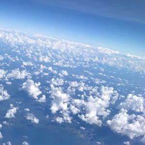 Meet your Posher, Lucy